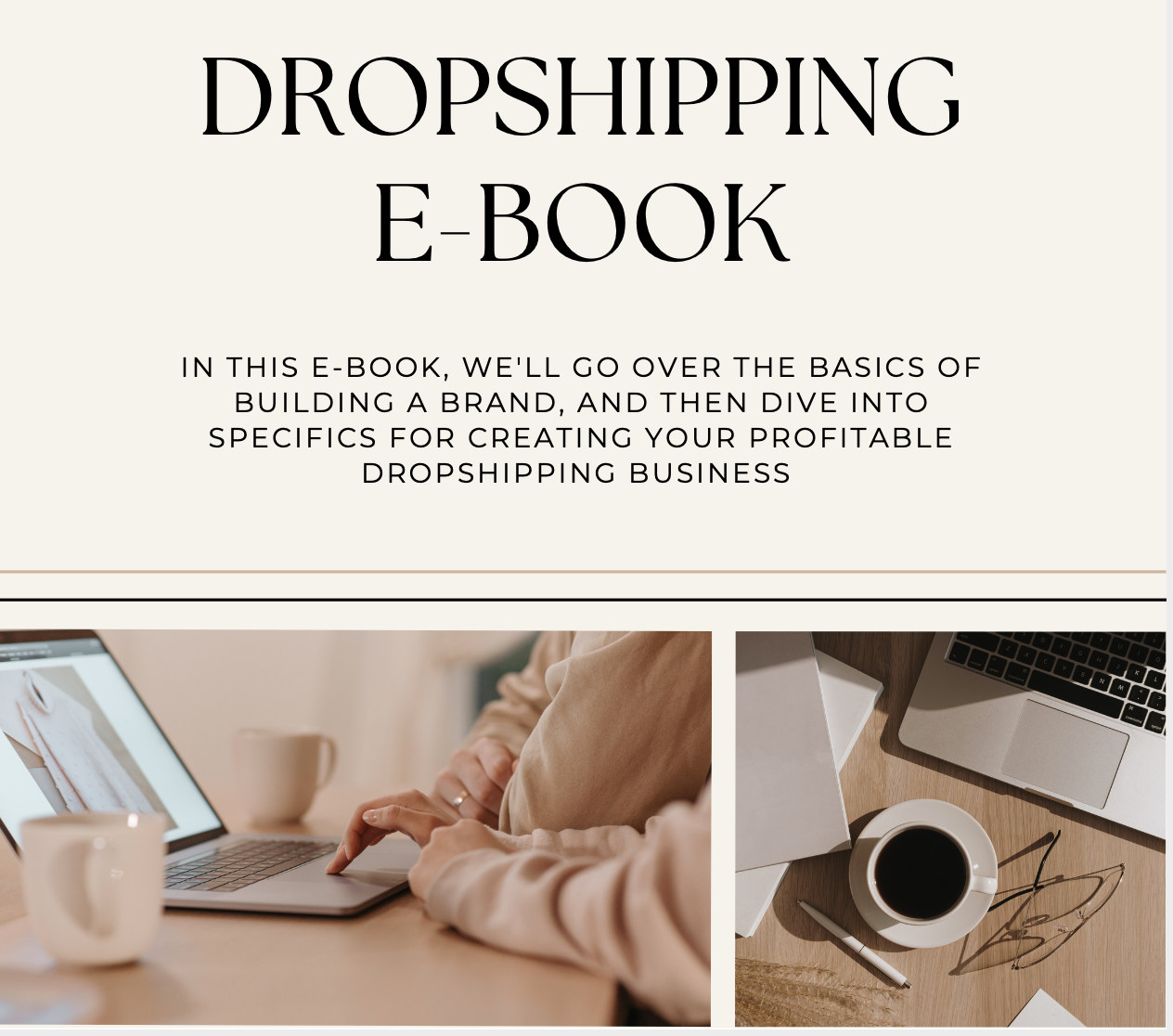 Dropshipping Guide