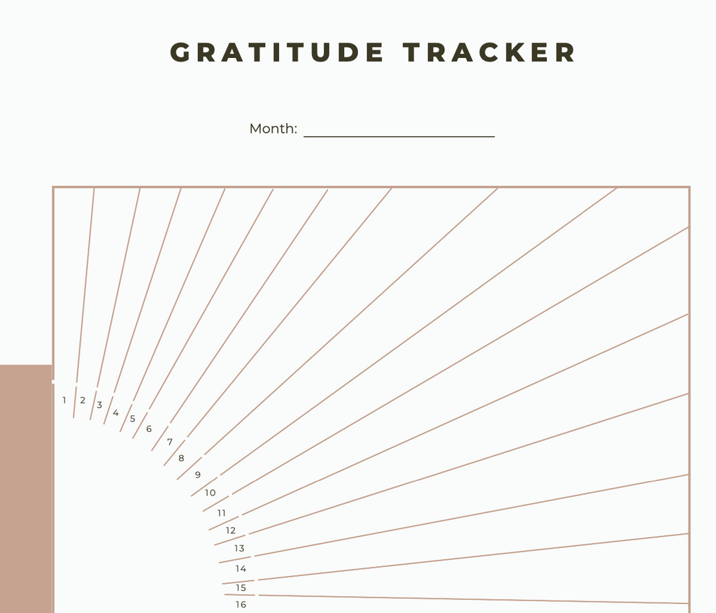 Manifestation Idea Storm Planner and Journal